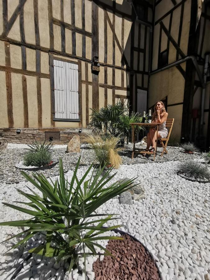 Le Papillon De La Cathedrale - Calme - Jardin - Wifi Daire Troyes Dış mekan fotoğraf